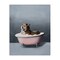 Stupell Industries Tiger in the Bathtub Canvas Wall Art Design by Svetlana Aleynikova